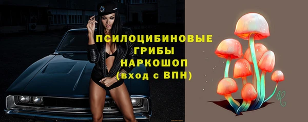 ПСИЛОЦИБИНОВЫЕ ГРИБЫ Краснотурьинск