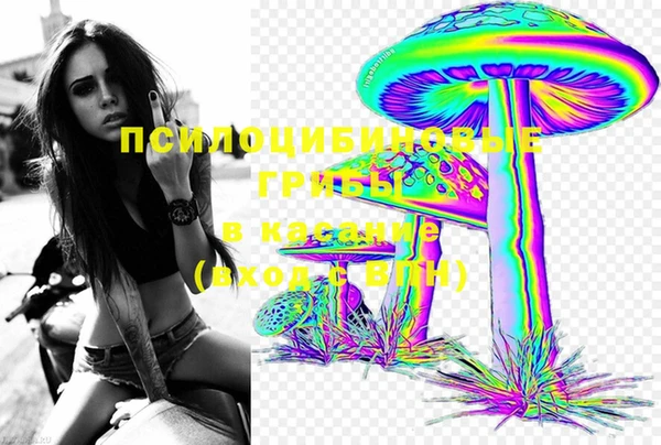 ПСИЛОЦИБИНОВЫЕ ГРИБЫ Краснотурьинск