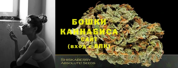 ПСИЛОЦИБИНОВЫЕ ГРИБЫ Краснотурьинск