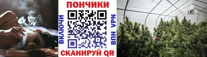 Купить закладки  Ирбит  Бошки марихуана LSD WEED 